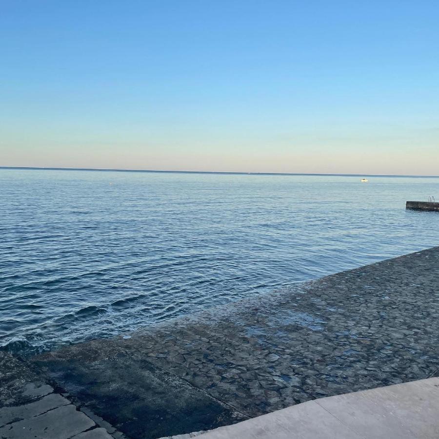 App Robi Apartamento Novigrad Istria Exterior foto
